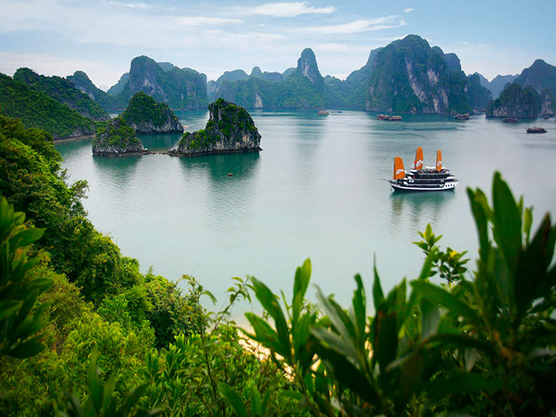 Discovering Halong: Halong Bay Cruise with Seafood Lunch, from Hanoi